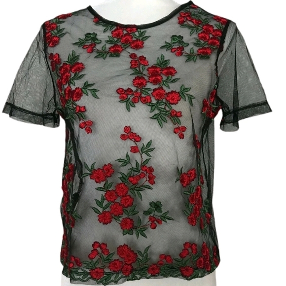 Twinkle by Wenlan Tops - Twinkle By Wenlan Sheer Mesh Embroidered Top